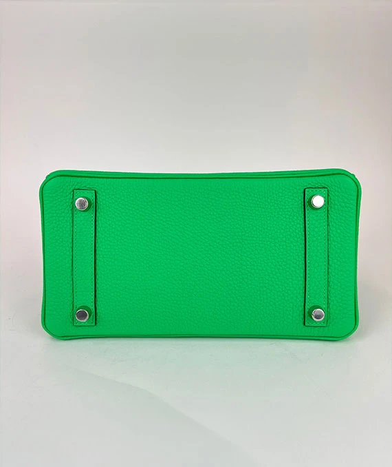 HERMES 2023 Birkin 25 Vert Comics Color Handbag in Togo Leather with Palladium Hardware