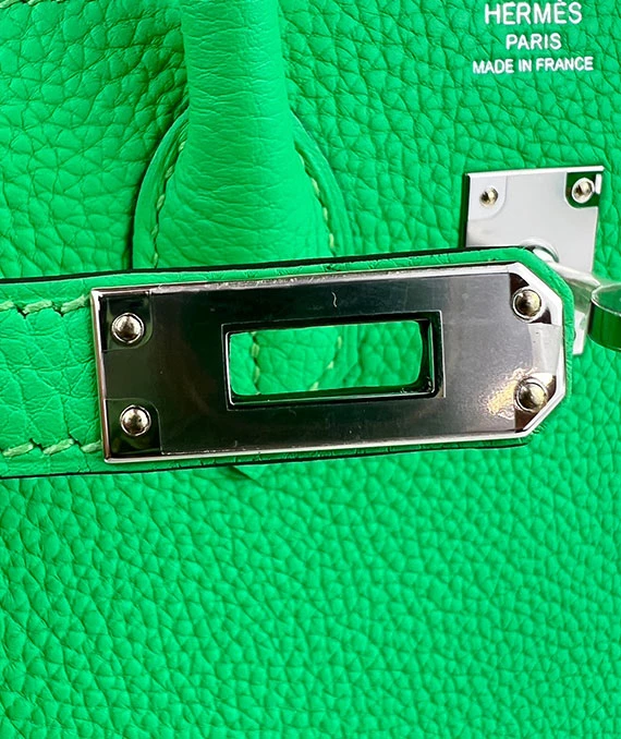 HERMES 2023 Birkin 25 Vert Comics Color Handbag in Togo Leather with Palladium Hardware