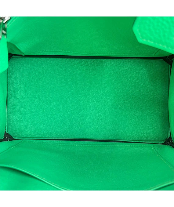 HERMES 2023 Birkin 25 Vert Comics Color Handbag in Togo Leather with Palladium Hardware