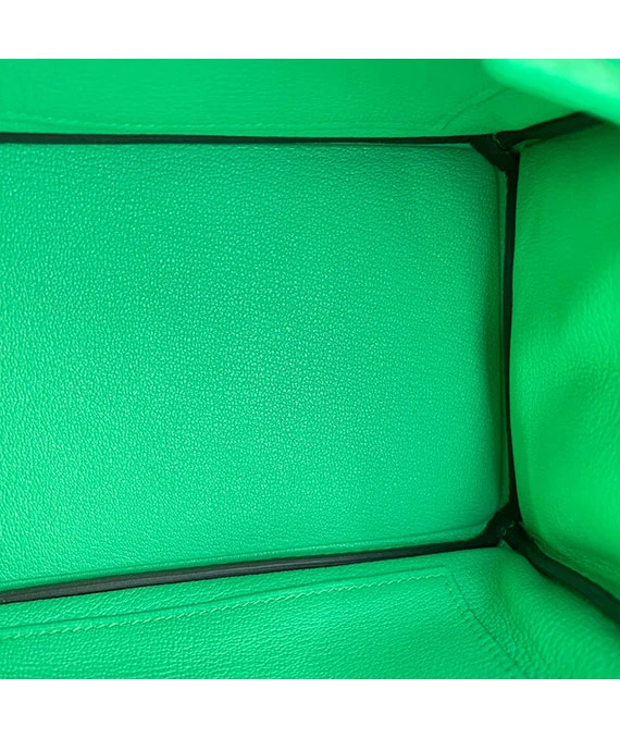 HERMES 2023 Birkin 25 Vert Comics Color Handbag in Togo Leather with Palladium Hardware