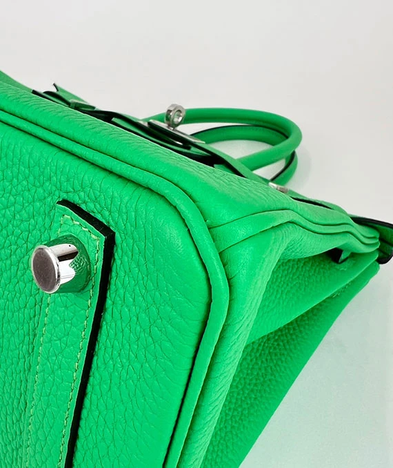 HERMES 2023 Birkin 25 Vert Comics Color Handbag in Togo Leather with Palladium Hardware