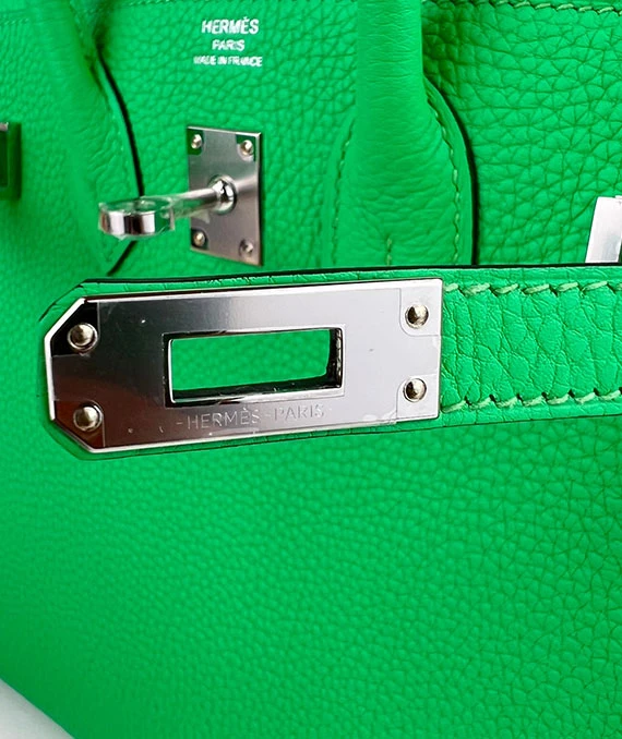 HERMES 2023 Birkin 25 Vert Comics Color Handbag in Togo Leather with Palladium Hardware