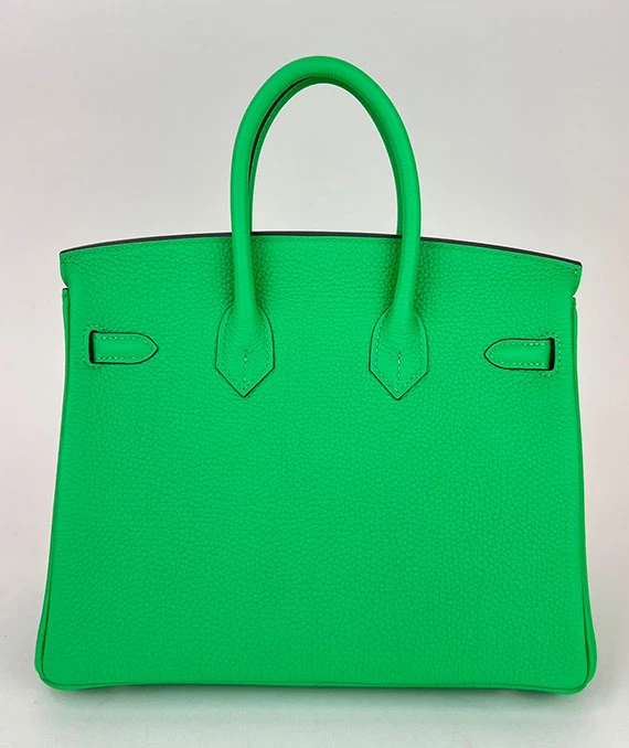 HERMES 2023 Birkin 25 Vert Comics Color Handbag in Togo Leather with Palladium Hardware
