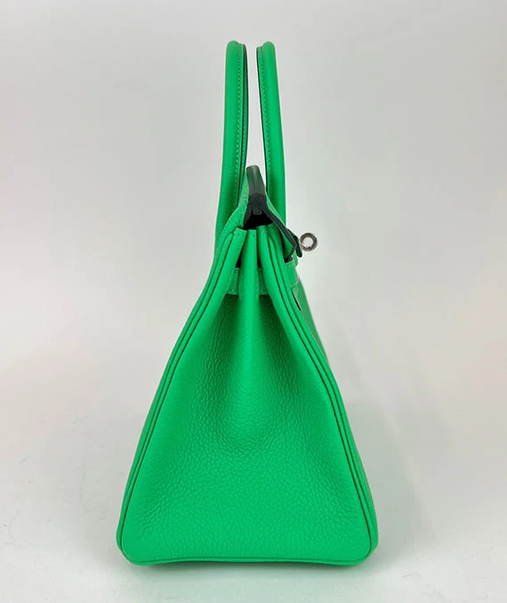 HERMES 2023 Birkin 25 Vert Comics Color Handbag in Togo Leather with Palladium Hardware