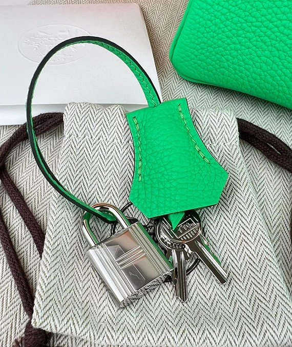 HERMES 2023 Birkin 25 Vert Comics Color Handbag in Togo Leather with Palladium Hardware